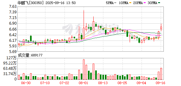 国内配资炒股官网 华鹏飞：选举童炜琨女士为第六届董事会职工代表董事
